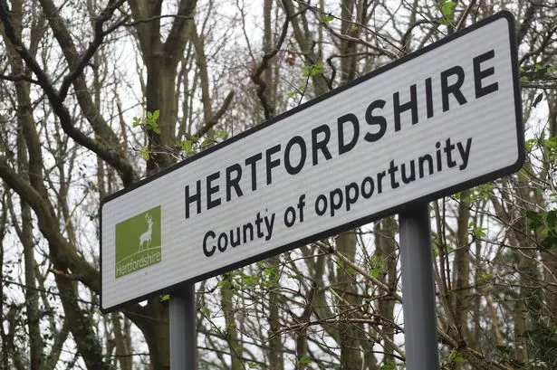 What is the organizational structure of Hertfordshire County Council