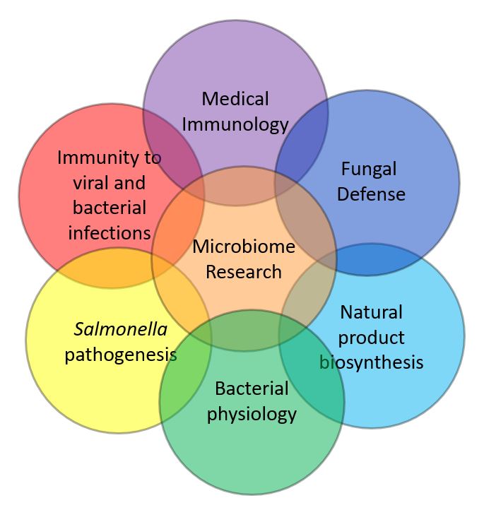 Bacteriology