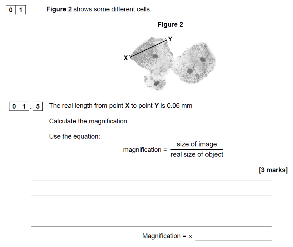 AQA GCSE Biology Past Papers