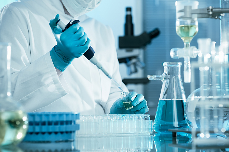 How do you pursue formal education in biotechnology