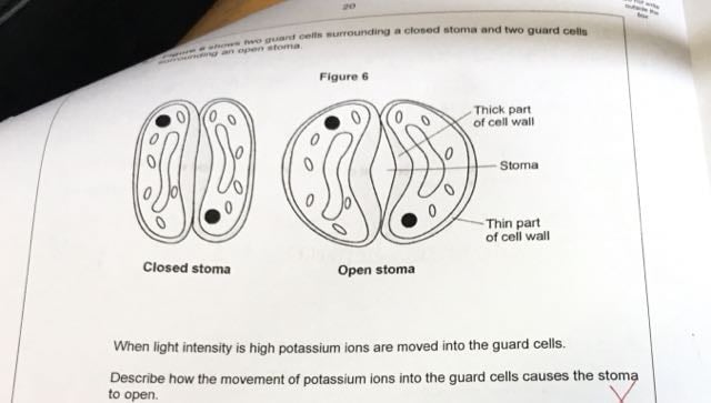 Is GCSE Biology Hard