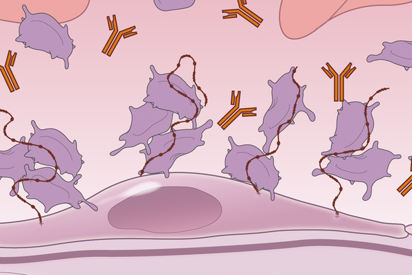 How can lifestyle changes help with microangiopathy