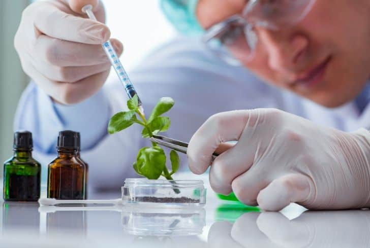 Agricultural Biotechnology