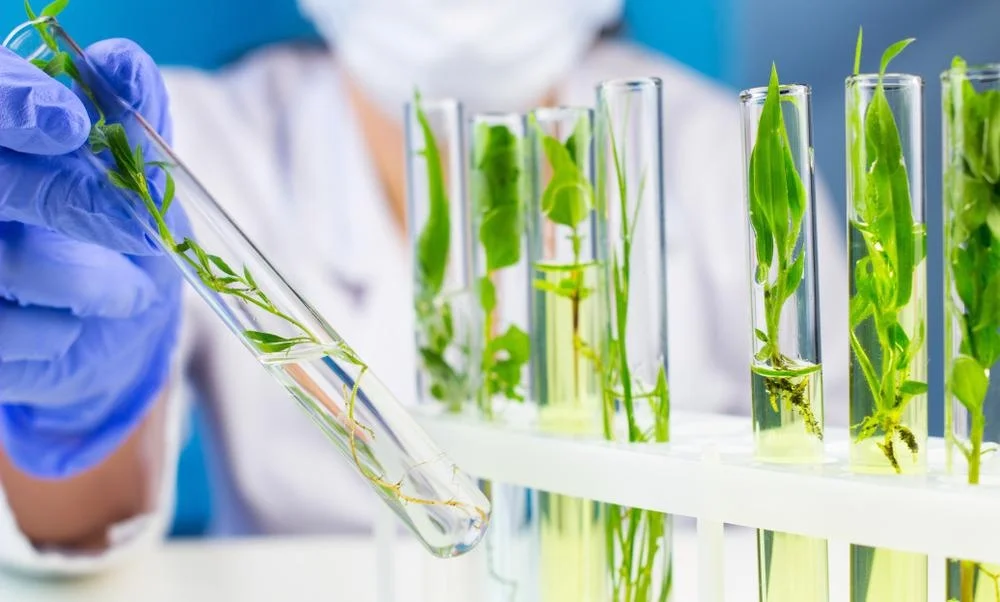 What are the essential A levels for Biotechnology